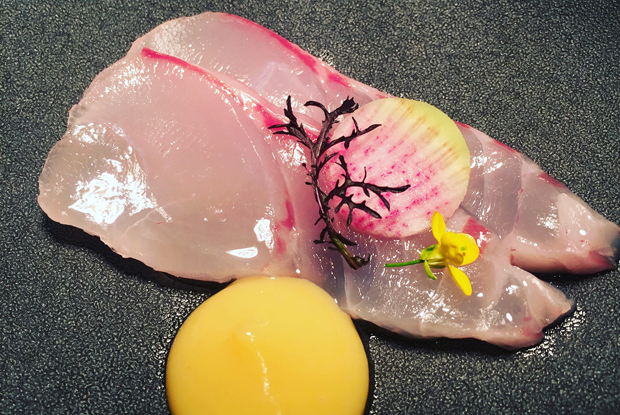 TocToc-ASIA-2018-DISH 2